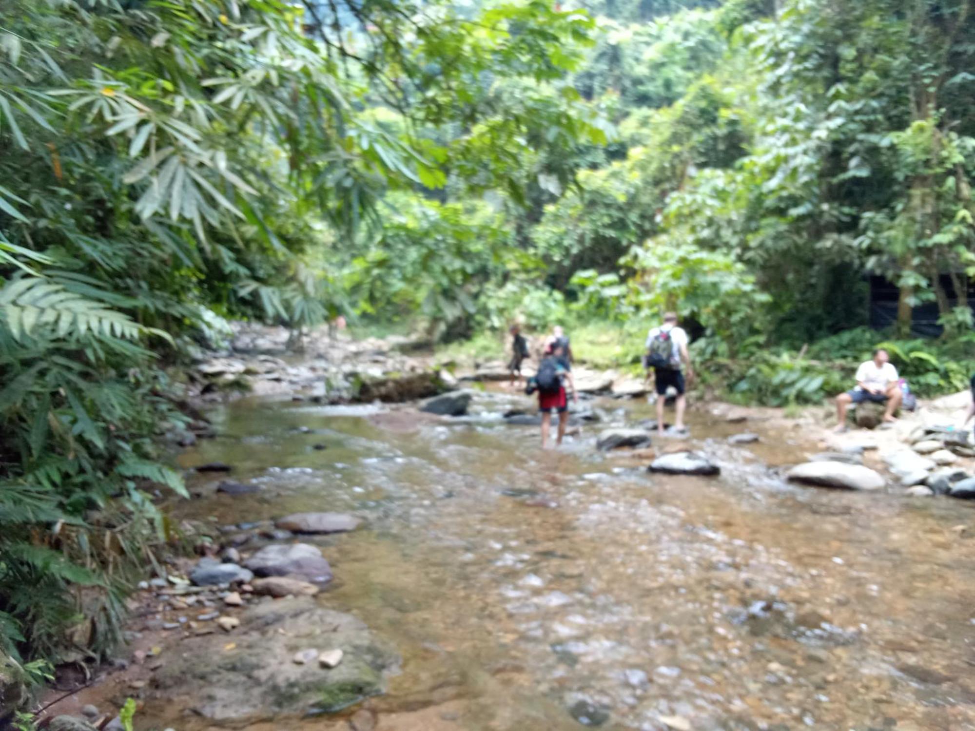 Jungle Treking & Jungle Tour If You Want To Stay Here,You Must Book Treking Only With Us Букіт-Лаванґ Екстер'єр фото