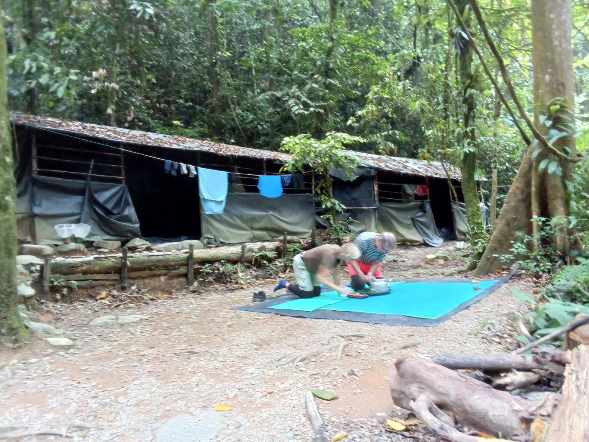 Jungle Treking & Jungle Tour If You Want To Stay Here,You Must Book Treking Only With Us Букіт-Лаванґ Екстер'єр фото