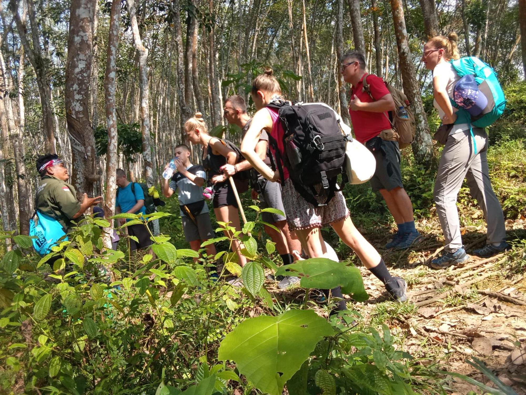 Jungle Treking & Jungle Tour If You Want To Stay Here,You Must Book Treking Only With Us Букіт-Лаванґ Екстер'єр фото